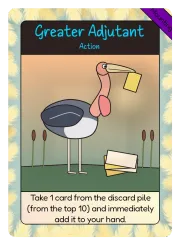 Greater Adjutant
